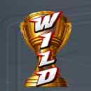 Wild Trucks Wild