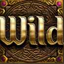 Wizards Want War Wild