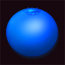 Bear’s Tricks Blueberry