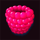Bear’s Tricks Raspberry