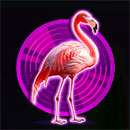 Big Bass Rock and Roll Flamingo