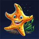 Big Snapper Starfish
