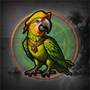 Captain More’Gain Parrot