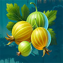 Crouching Tiger Melon