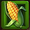 Diego’s Spicy Truck Corn