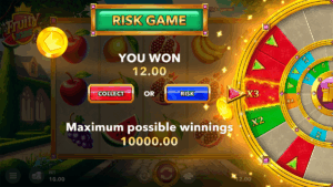 Fruity X125 GambleWin