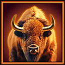 Grand Bison Bison