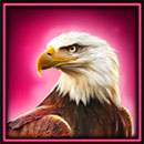 Grand Bison Eagle