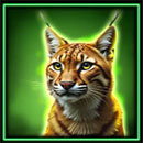 Grand Bison Lynx