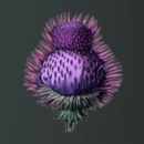 Mystery Garden Paytable Symbol 1