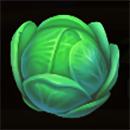 Pig Farm Cabbage