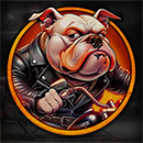 Rebel Paws Bulldog