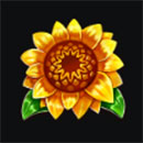 The Grand Rooster Hold & Win Sunflower