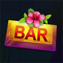 20 Tropcial Fruits Boost Bar