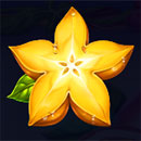 20 Tropcial Fruits Boost Star