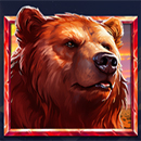 5 Wild Wolves Bear