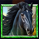 5 Wild Wolves Horse