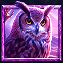 5 Wild Wolves Owl