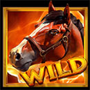 Amazons Riches Wild