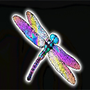 Big Bass Reel Repeat Dragonfly