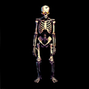Evil Bet Shoot Them All! Skeleton