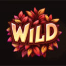 Pyrofox Wild