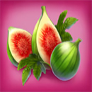 Quetzal Quest Fruit