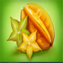 Quetzal Quest StarFruit
