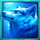 4 Wolves of Fortune DoubleMax Blue