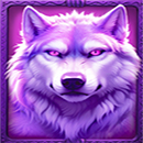 4 Wolves of Fortune DoubleMax Purple