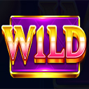 40 Hold Hot Hold and Win Wild