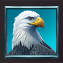 Bisonado PrizeMatch Eagle