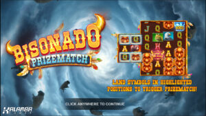 Bisonado PrizeMatch Homescreen