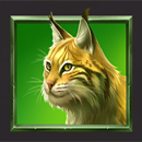 Bisonado PrizeMatch Lynx