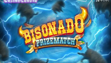 Bisonado PrizeMatch by Kalamba Games