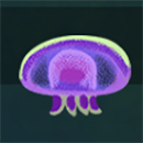 Fish and Bird PurpleJelly