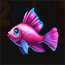 Marlin Masters The Big Haul Pink