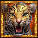 Masked Treasures Cheetah