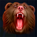 Wild Bison Spirit Hold And Win Bear