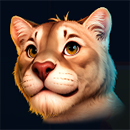 Wild Bison Spirit Hold And Win Lynx