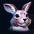 Wild Bison Spirit Hold And Win Rabbit