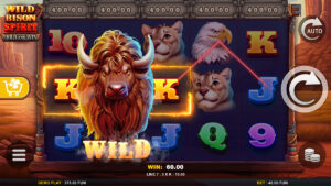 Wild Bison Spirit Hold And Win Win