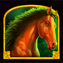 Wolf Gold 4 Pack Horse