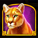 Wolf Gold 4 Pack Lynx