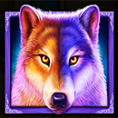 Wolf Gold 4 Pack Wolf