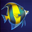 Dolphin’s Wealth Fortune Fish