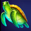 Dolphin’s Wealth Fortune Turtle