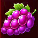 Golden Joker 243 Fortune Grape