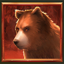 Bison Madness PrizeTower Bear