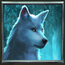 Bison Madness PrizeTower Wolf